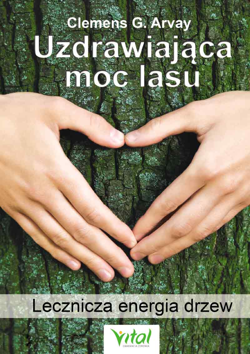 uzdrawiająca moc lasu